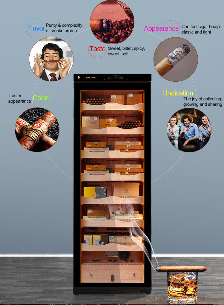 Raching C380A Cigar Humidor Cabinet