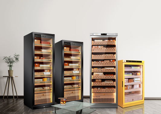 Introduce Raching Cigar Humidor