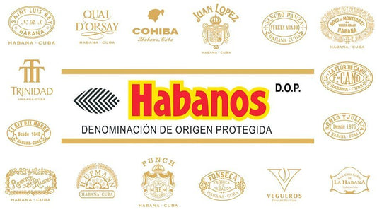 Why is Habanos S.A. So Dominant?