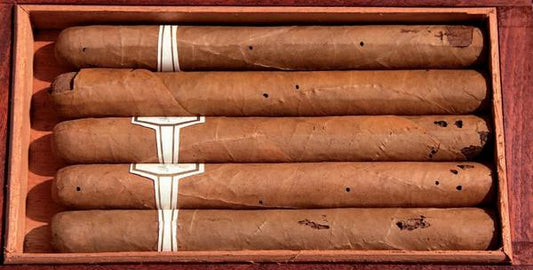Cigars attacked by cigar bugs, a cigar smoker's nightmare